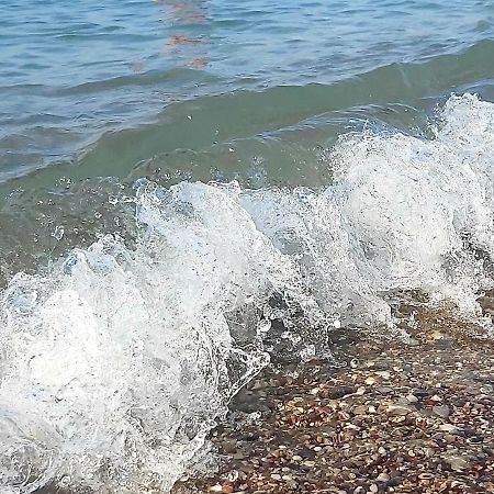 Suncani Apartman 1-Vila Amfora Budva Dış mekan fotoğraf